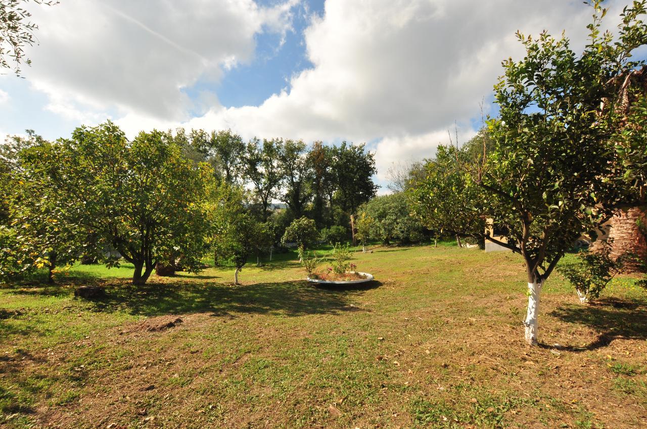 Apartment Laskaris Dassia (Corfu)