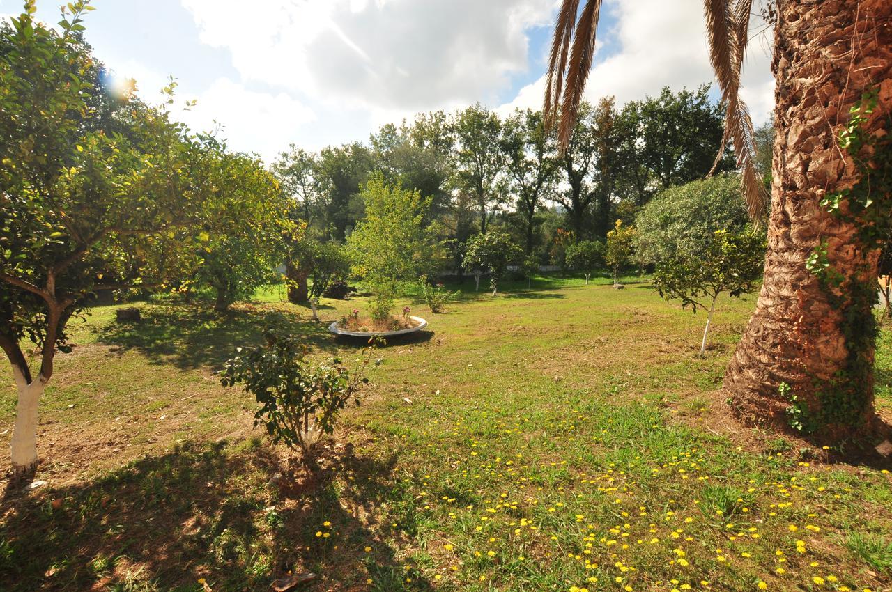 Laskaris Apartment Dassia (Corfu)